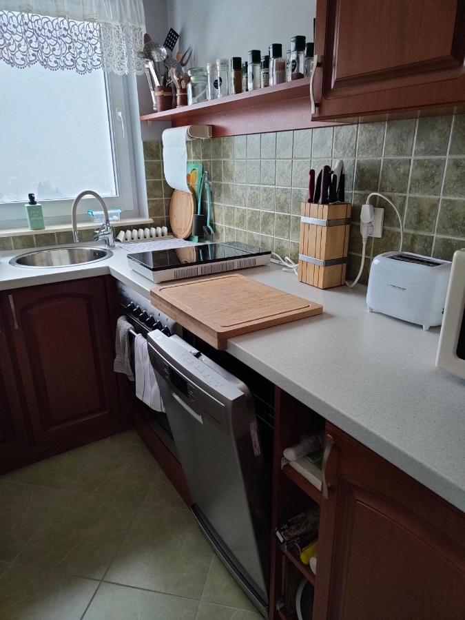 Apartament Złap Oddech Zakopane Zewnętrze zdjęcie